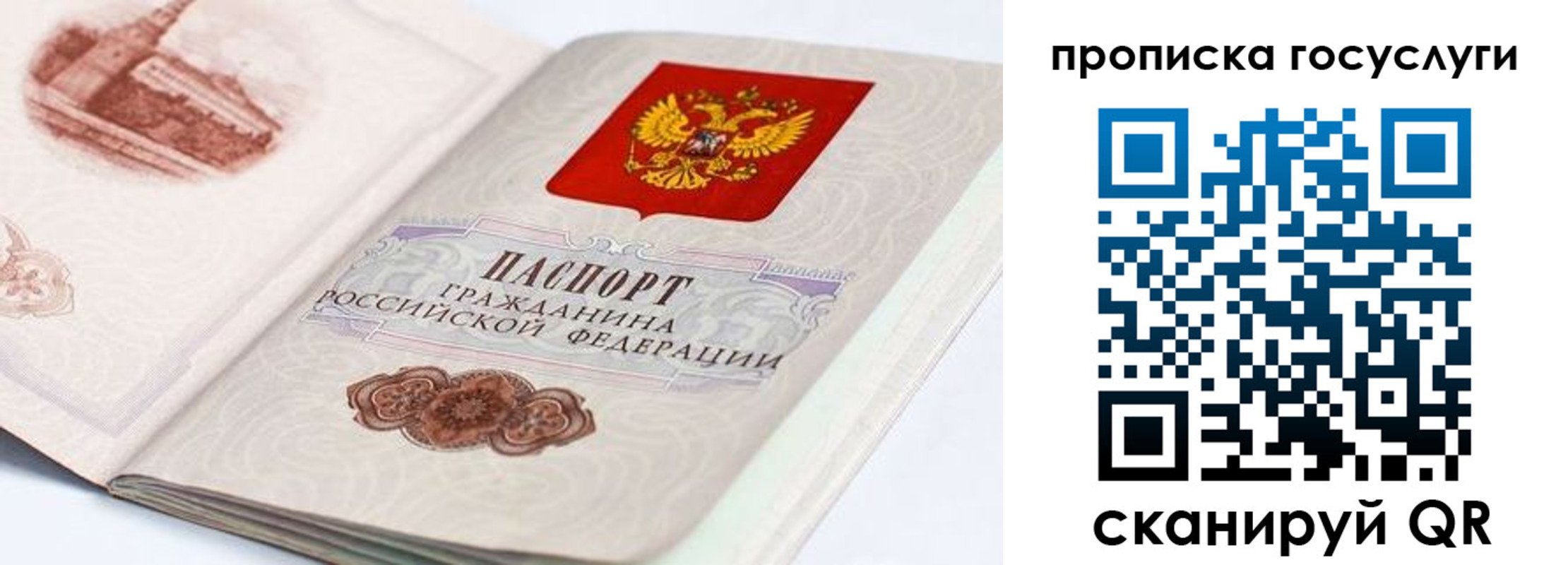 прописка гарантия в Валдае